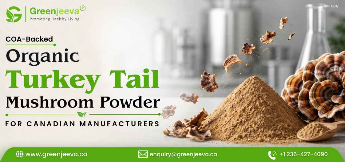 Organic Turkey Tail Mushroom Powder Supplier in Canada for Bulk and Wholesale Buyers